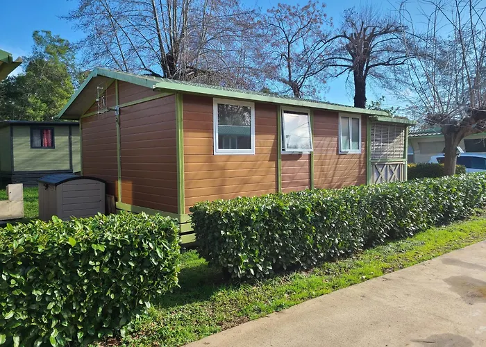 En Bois Climatise A 300 M De La Marina Di 6 Personnes *