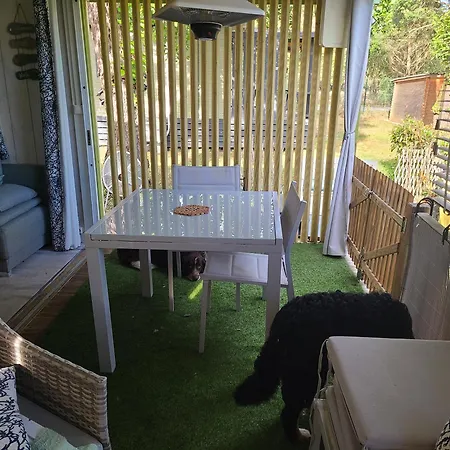 En Bois Climatise A 300 M De La Marina Di 6 Personnes 木屋 *