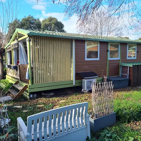 Chalet En Bois Climatise A 300 M De La Marina Di 6 Personnes