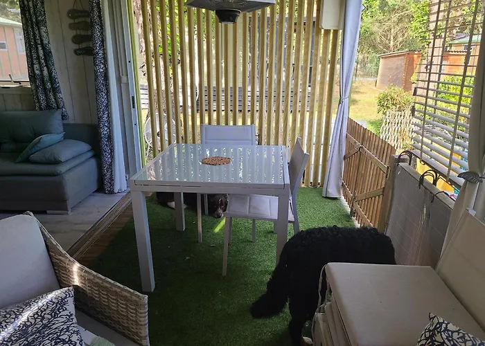 En Bois Climatise A 300 M De La Marina Di 6 Personnes 木屋 *